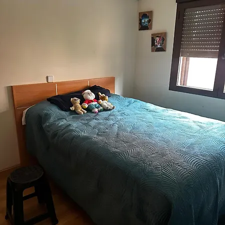 Ap Guest house